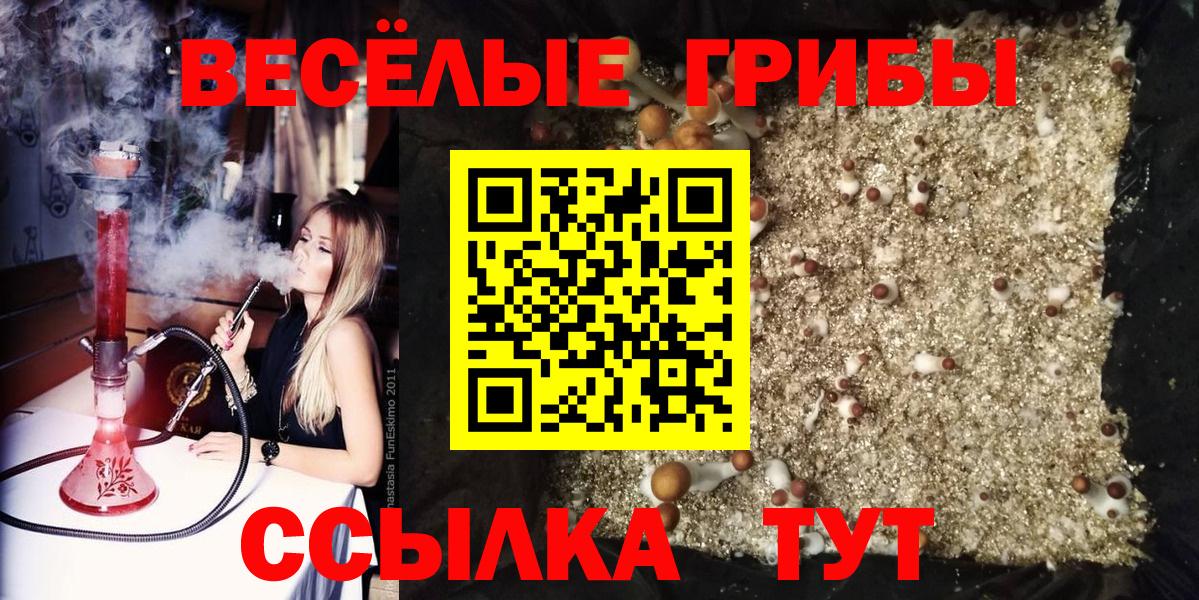 Псилоцибиновые грибы Magic Shrooms Фрязино