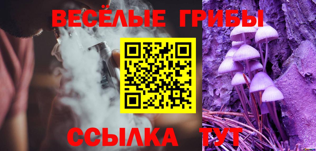 Фрязино  Галлюциногенные грибы мухоморы  где купить наркоту  Вход с VPN  Псилоцибиновые грибы Cubensis 