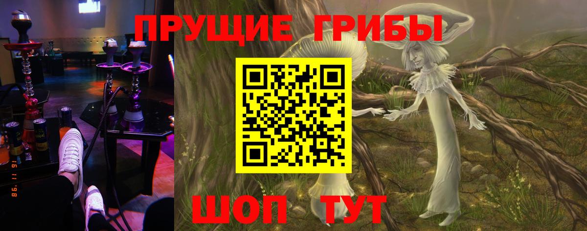 А ПВП Фрязино